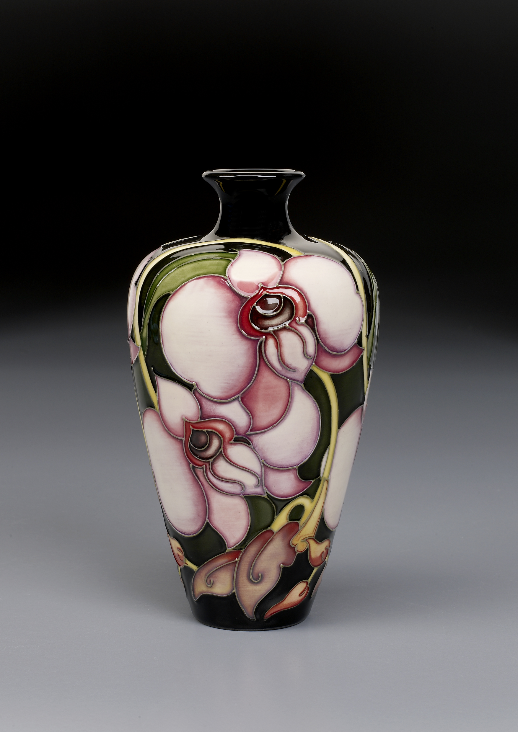 164 Cooktown Orchid 72-6