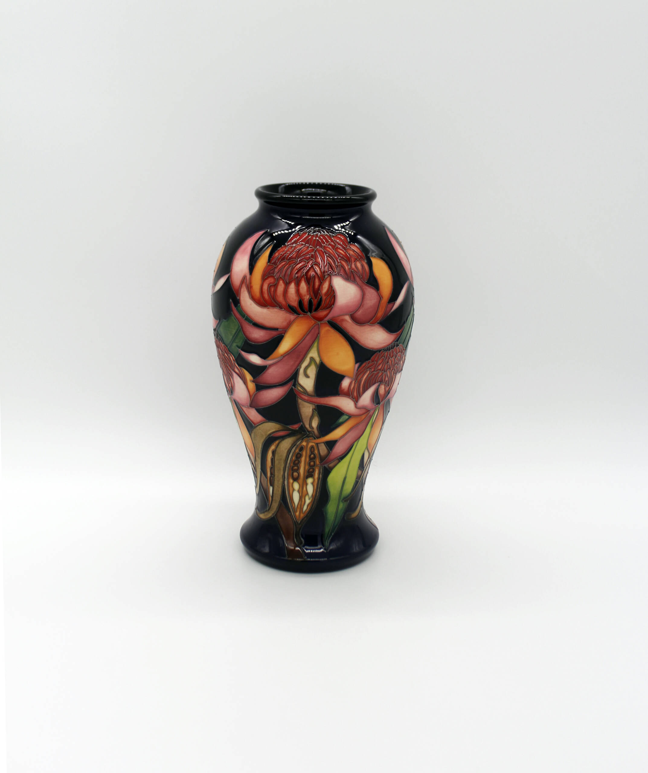 303 New World Waratah